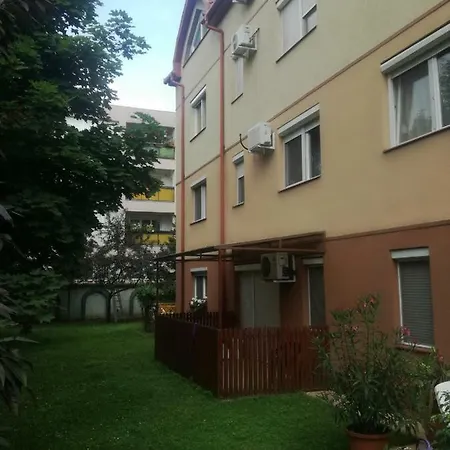 Rose Debrecen